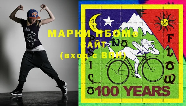 гашик Алексин