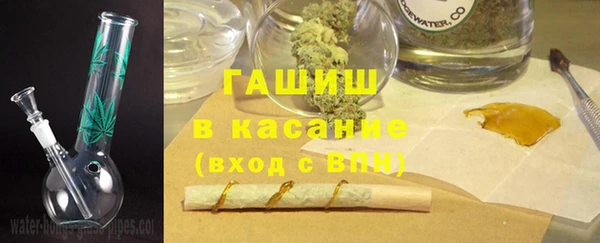 гашик Алексин