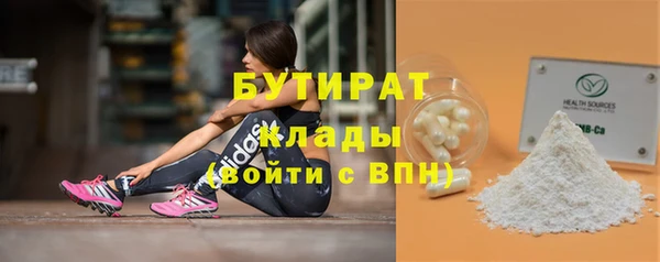 гашик Алексин