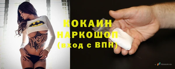 гашик Алексин