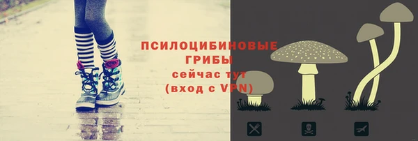 прущий лед Алексеевка