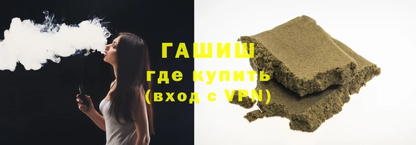 гашик Алексин