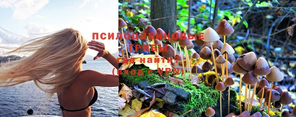 прущий лед Алексеевка