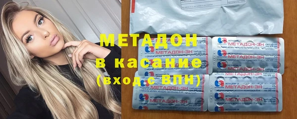 гашик Алексин