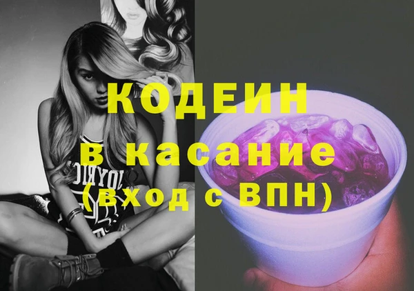гашик Алексин