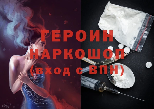 гашик Алексин