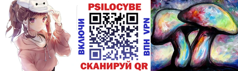 Псилоцибиновые грибы Psilocybe Нижние Серги